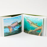 八百板浩司　画集 / 『ANTHOLOGY』