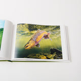 八百板浩司　画集 / 『ANTHOLOGY』