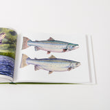 八百板浩司　画集 / 『ANTHOLOGY』