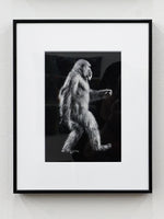 Aki Yamanaka / sasquatch