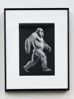 Aki Yamanaka / sasquatch