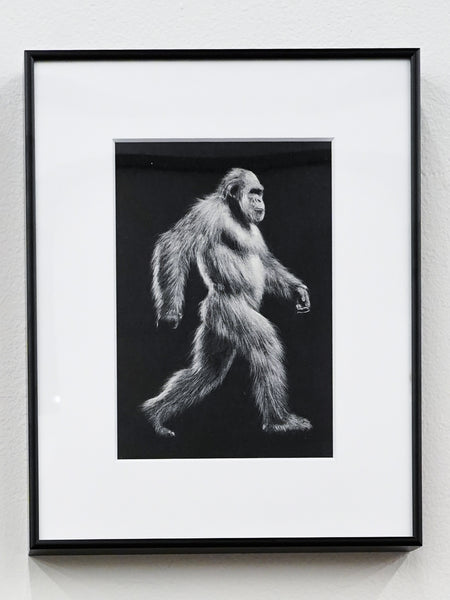 Aki Yamanaka / sasquatch