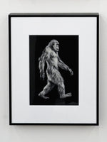 Aki Yamanaka / sasquatch