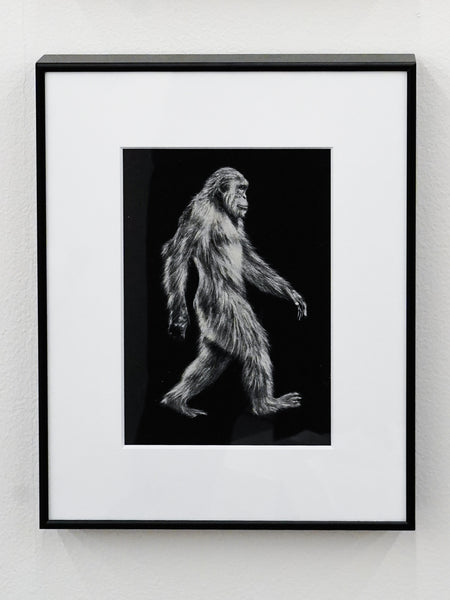 Aki Yamanaka / sasquatch