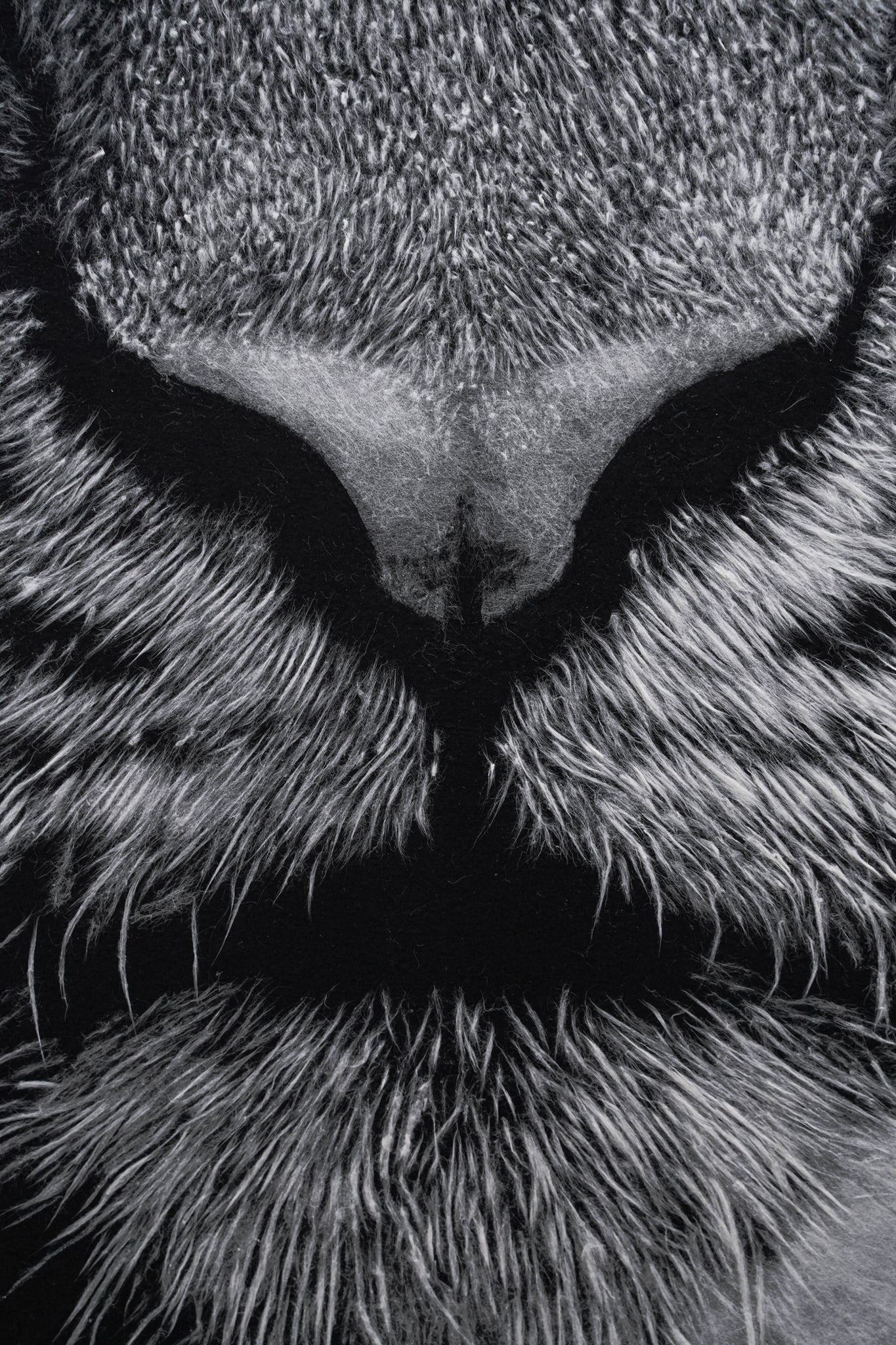 Gazer02