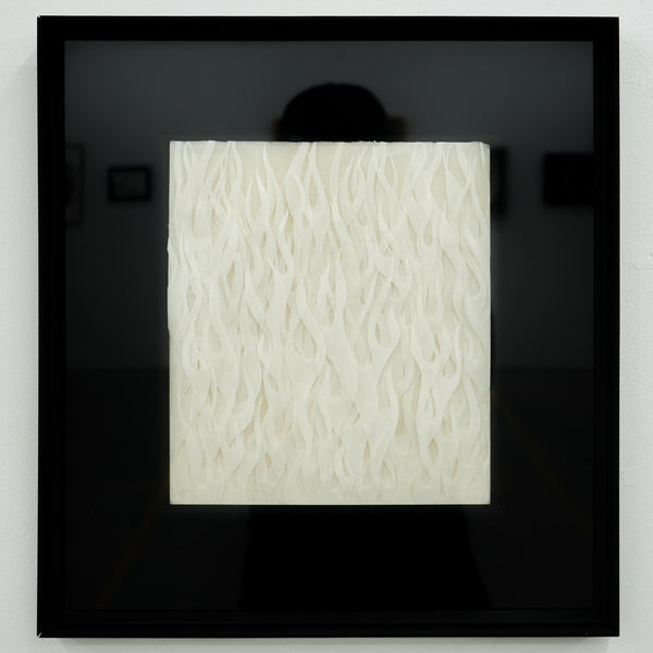 Satoshi Miyata / Empty fire